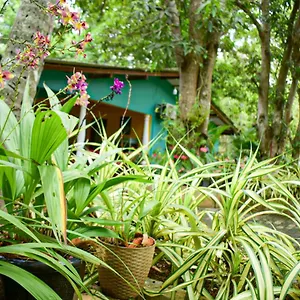 Homestay Palitha 